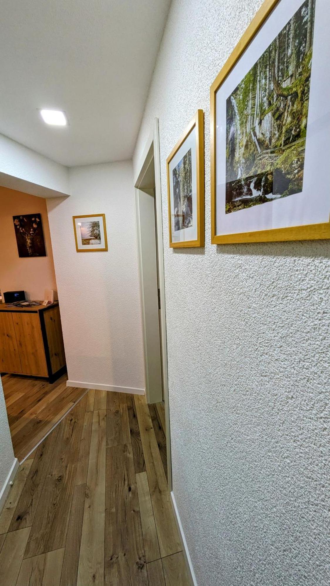 Ferienwohnung Albbruck/Albert Εξωτερικό φωτογραφία
